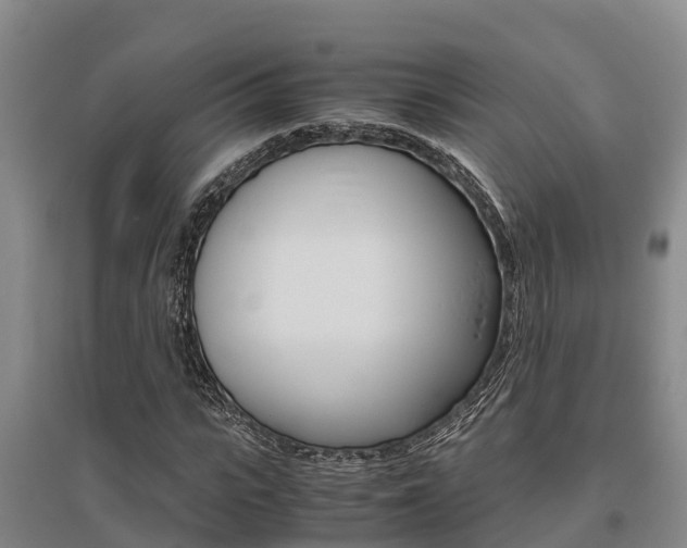X0000095890919200801110825