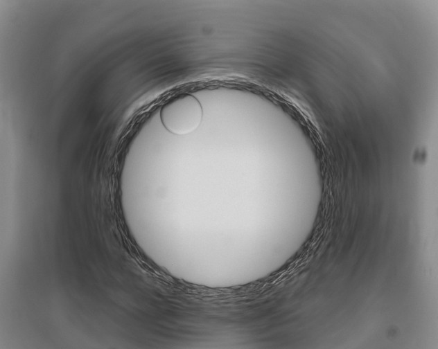 X0000095890920200801110825