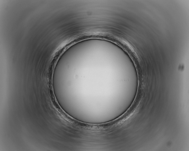 X0000095890922200801110825