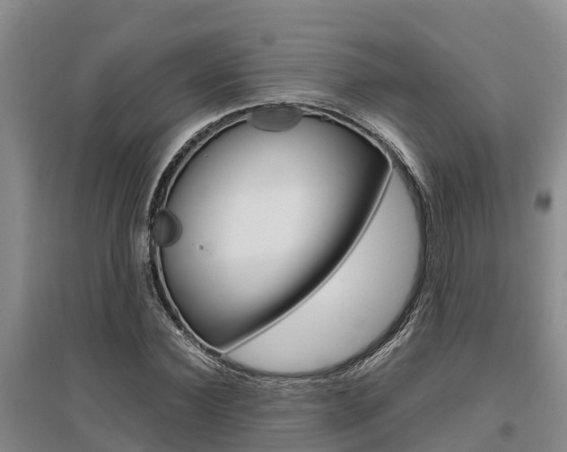 X0000095890924200801110825