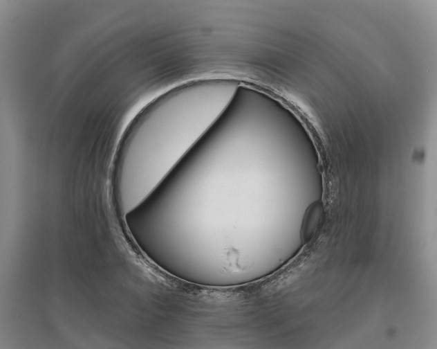 X0000095890928200801110825