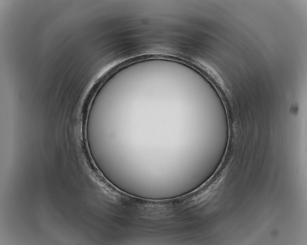 X0000095890931200801110825