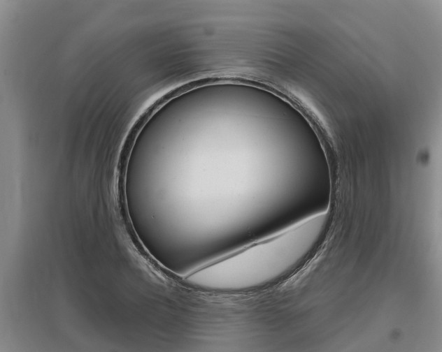 X0000095890932200801110825