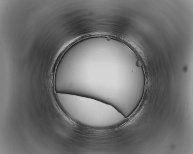 X0000095890933200801110825