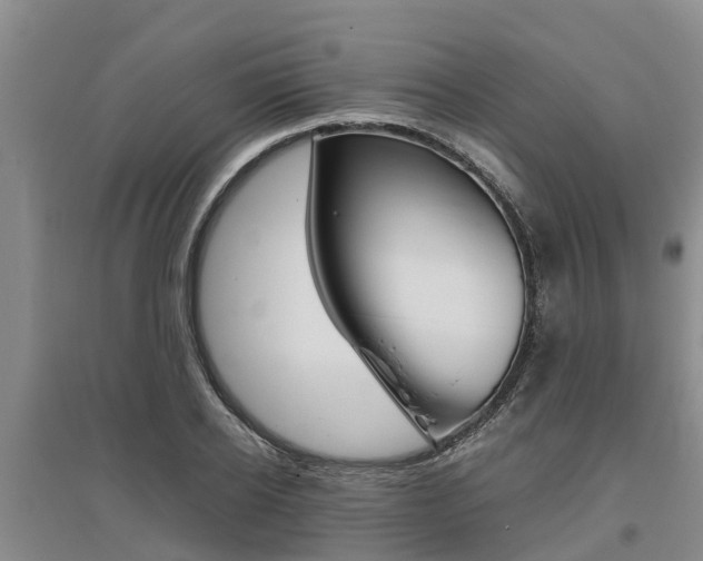 X0000095890934200801110825