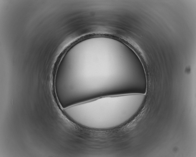 X0000095890935200801110825