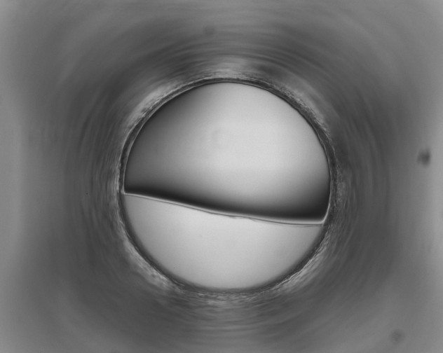 X0000095890938200801110825