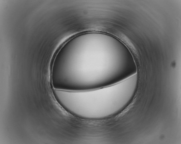 X0000095890940200801110825