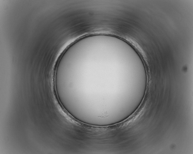 X0000095890941200801110825