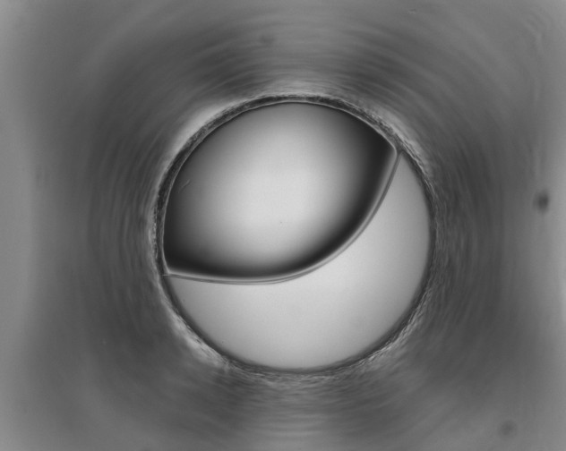 X0000095890942200801110825