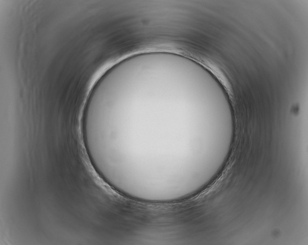 X0000095890944200801110825