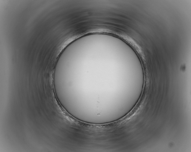 X0000095890945200801110825