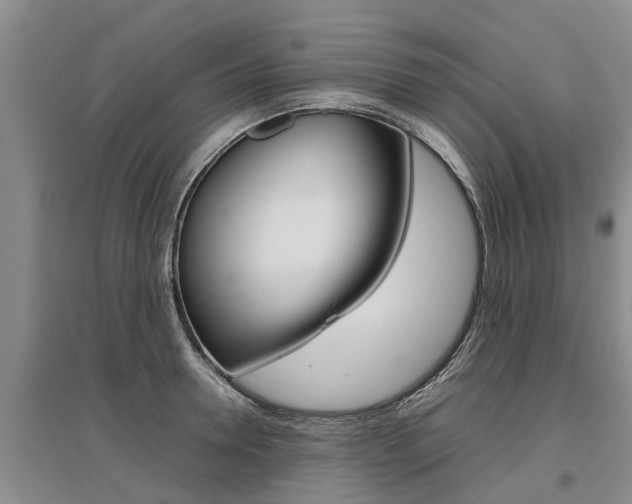 X0000095890946200801110825