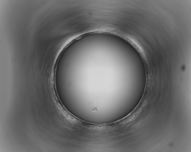 X0000095890948200801110825