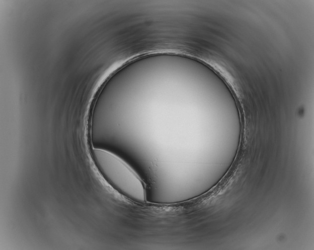 X0000095890949200801110825