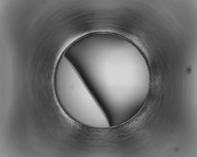 X0000095890951200801110825