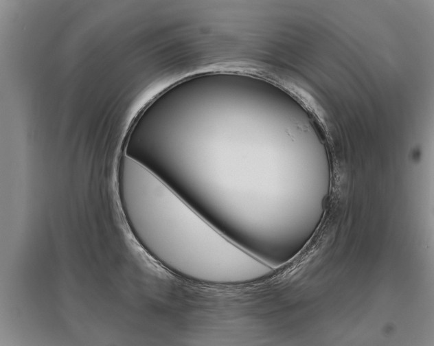 X0000095890952200801110825