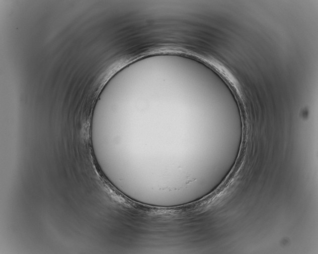 X0000095890953200801110825
