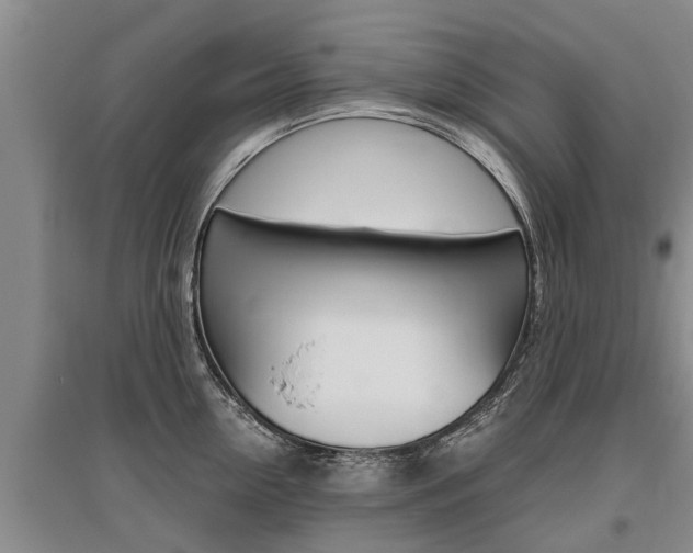 X0000095890954200801110825