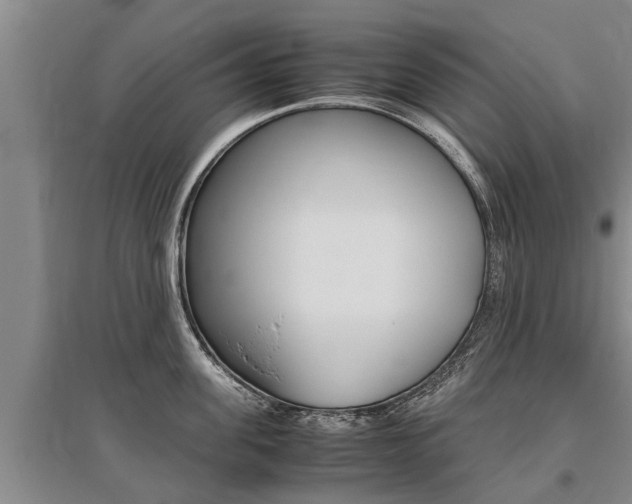 X0000095890955200801110825