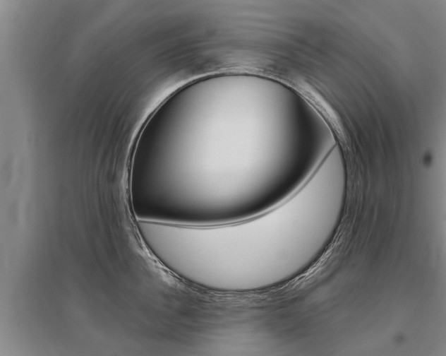 X0000095890956200801110826