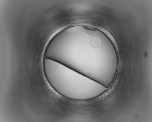 X0000095890957200801110826