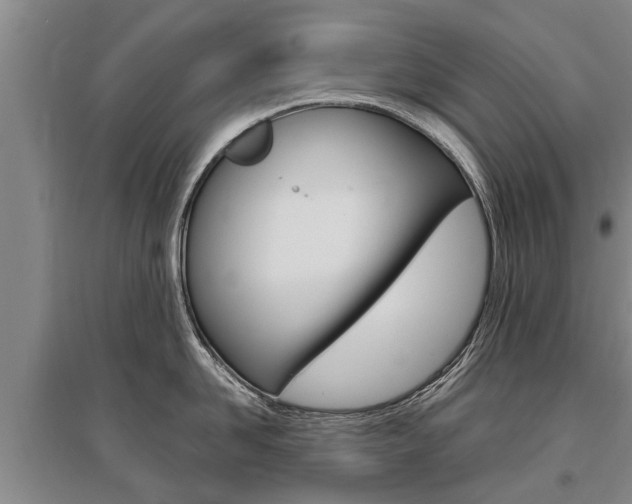 X0000095890958200801110826