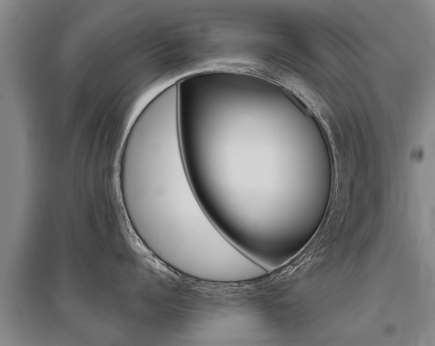 X0000095890960200801110826