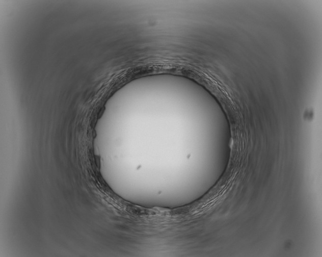 X0000095890961200801110825