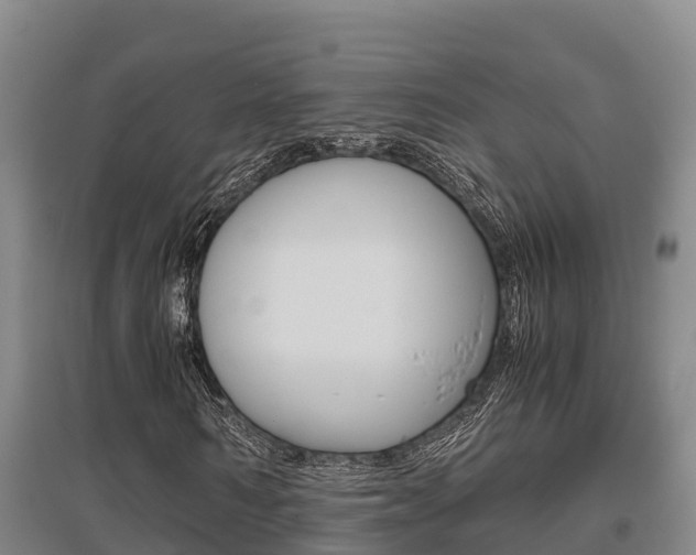X0000095890962200801110825