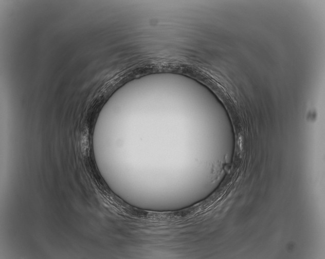 X0000095890963200801110825