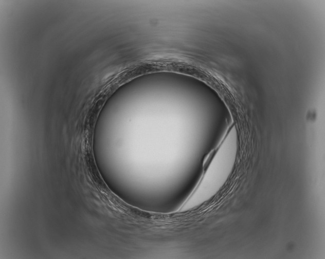 X0000095890965200801110825