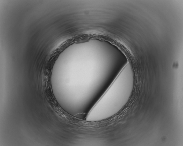 X0000095890968200801110825