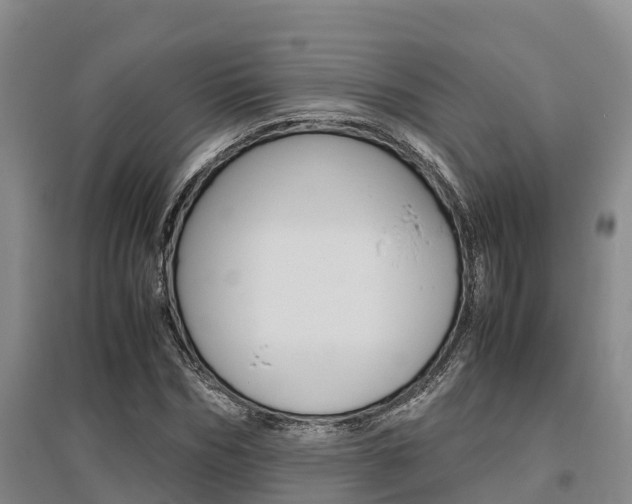 X0000095890970200801110825