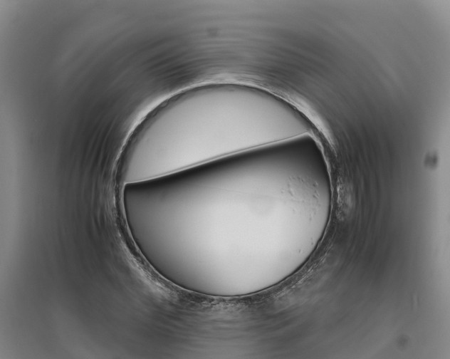 X0000095890972200801110825