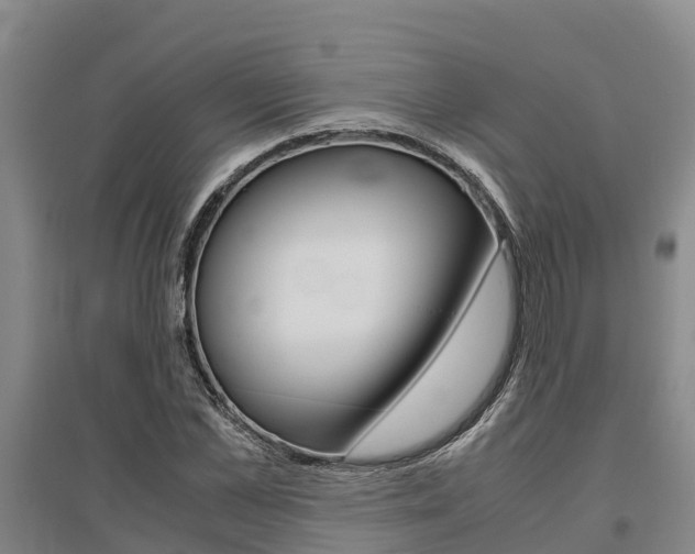 X0000095890973200801110825