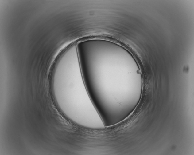 X0000095890975200801110825