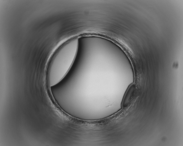 X0000095890976200801110825
