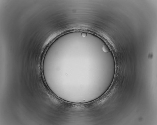 X0000095890978200801110824
