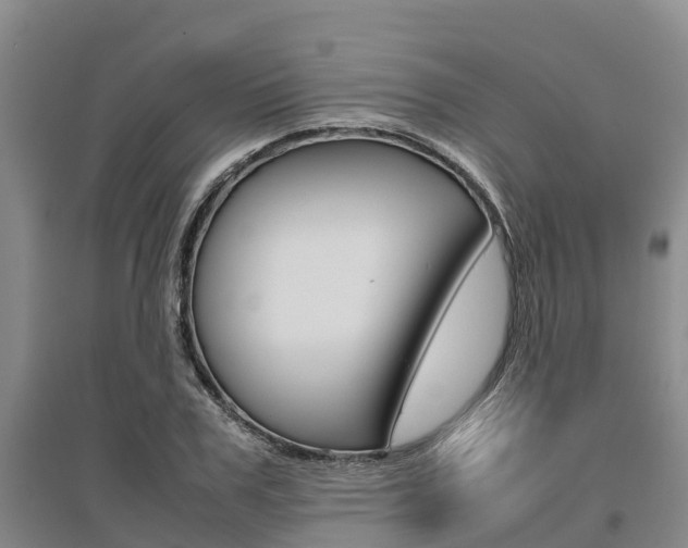 X0000095890979200801110824