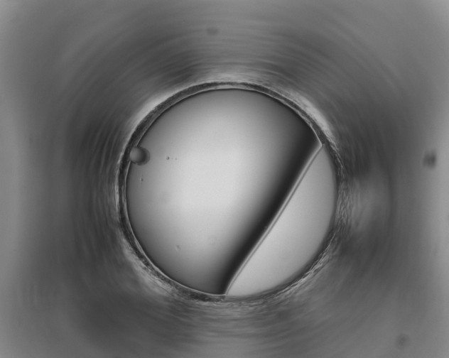 X0000095890980200801110824