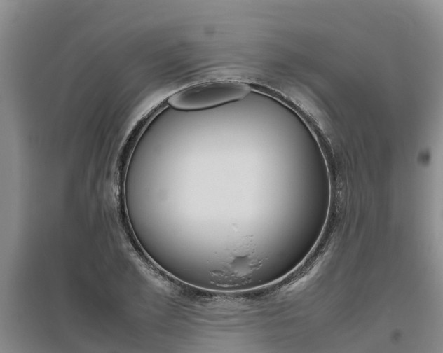 X0000095890981200801110824