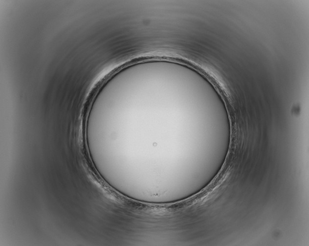 X0000095890982200801110824