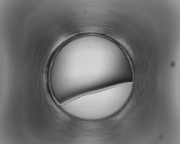X0000095890983200801110824