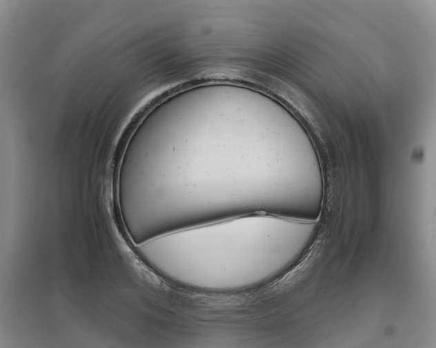 X0000095890984200801110824