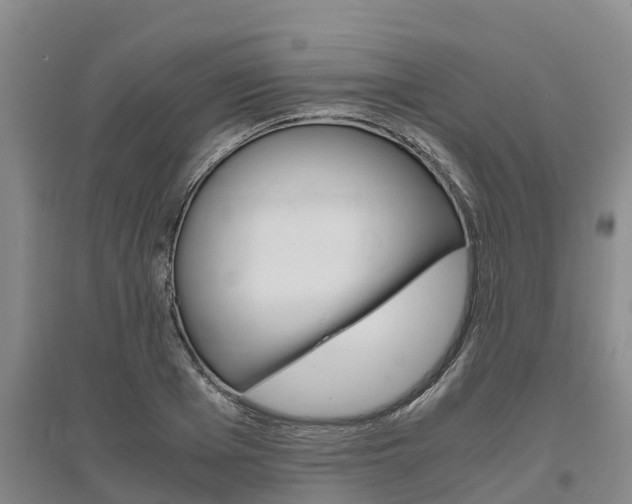 X0000095890985200801110824