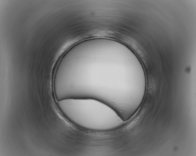X0000095890986200801110824