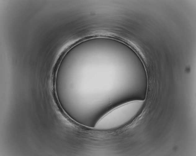 X0000095890987200801110824