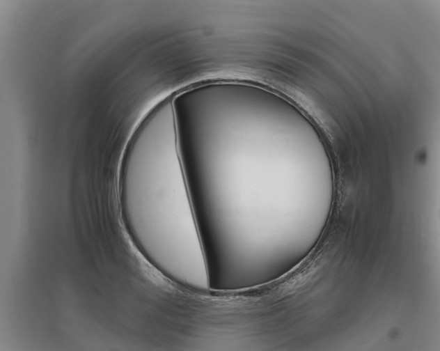 X0000095890988200801110824