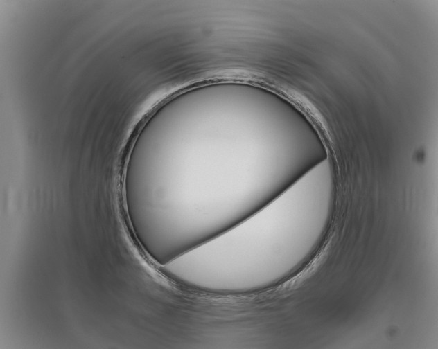 X0000095890989200801110824